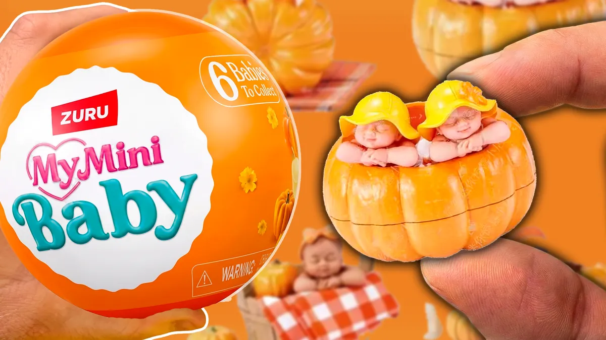 My Mini Baby Pumpkin Patch