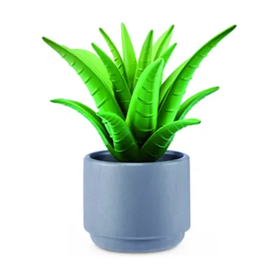 Aloe