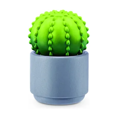 Cactus barril