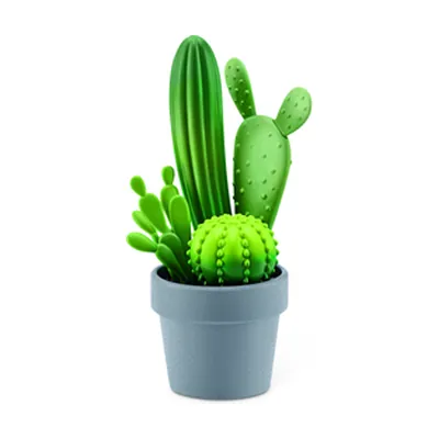 Maceta de suculenta