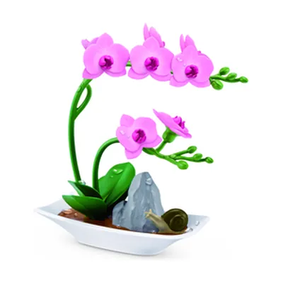 Orquídeas rosas