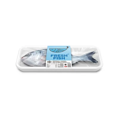 Fresh Fish