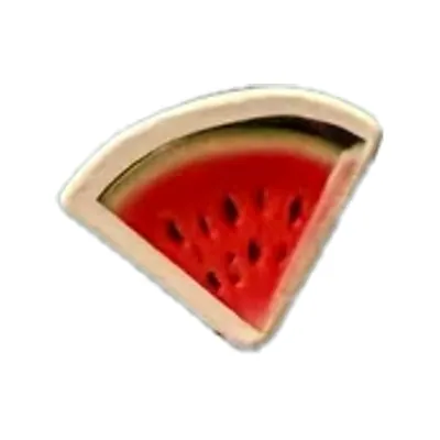 Watermelon Magnet