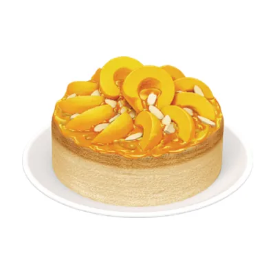 Almond & Apricot Cheesecake