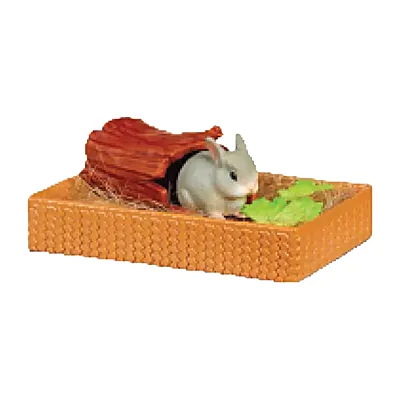 Conejo Enano
