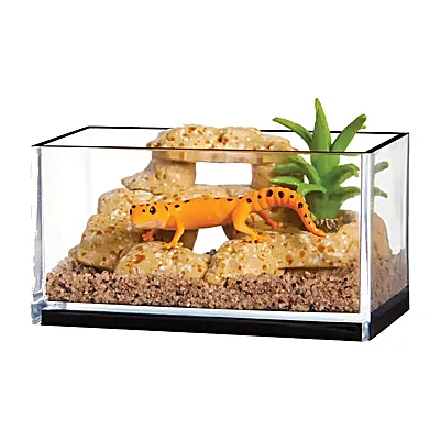 Gecko Leopardo