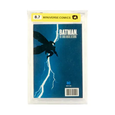 The Dark Knight Returns