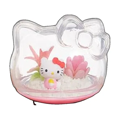 Terrarium · Hello Kitty