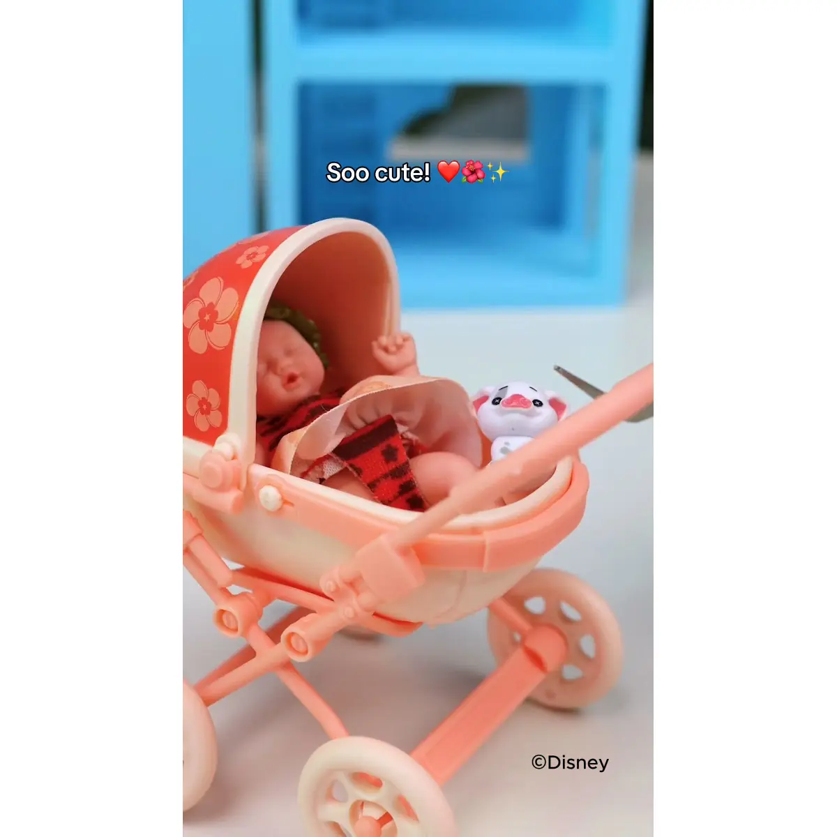Bebé vestido de Moana dentro del carrito coral con Pua al lado, ya montado