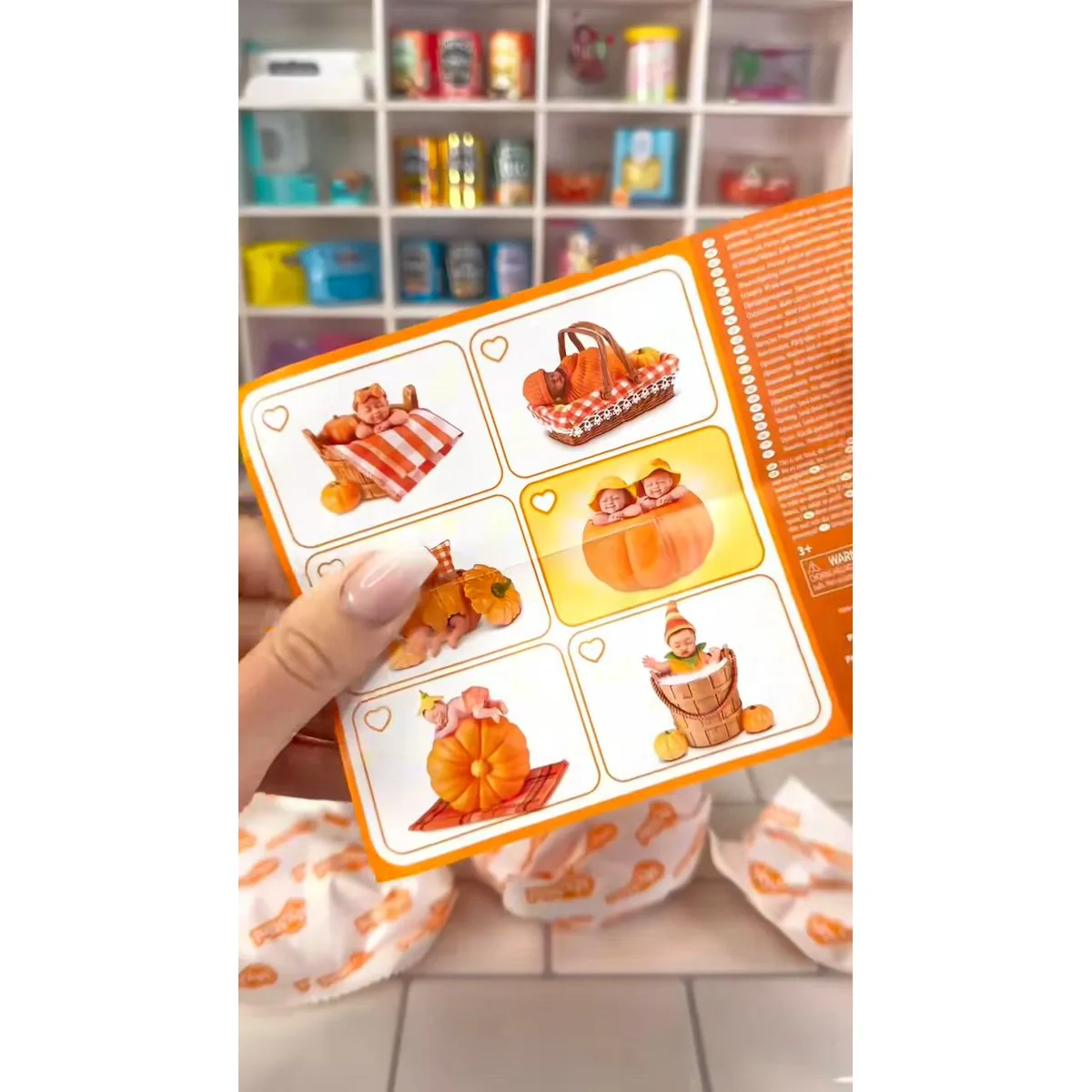 Tarjeta de coleccionista de Pumpkin Patch con las seis escenas ilustradas