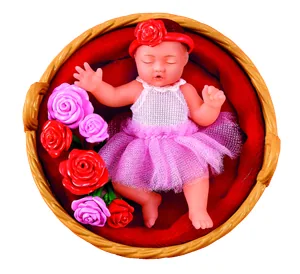 Bebé Rose Themed de My Mini Baby Sweet Hearts en su cesta de rosas