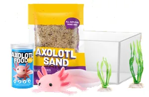 Axolotl de My Mini Pets Serie 1 con su mini hogar y sus accesorios