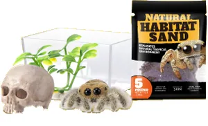 Araña saltarina de My Mini Pets Serie 1 con su mini hogar y sus accesorios