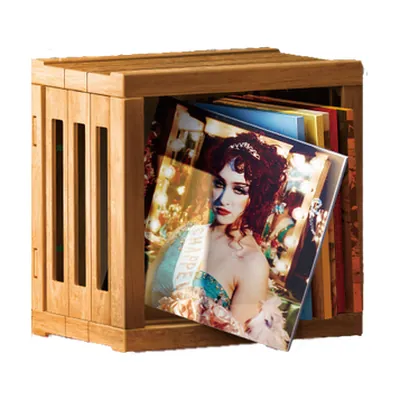 Vinyl Storage Crate