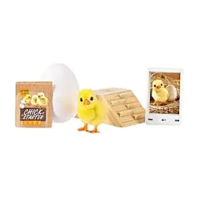 Pollito